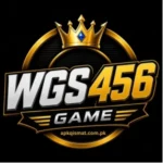 WGS456 Game