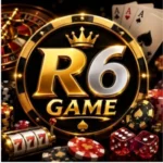 R6 Game